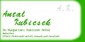 antal kubicsek business card